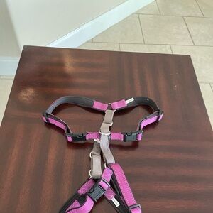 Leash and harness